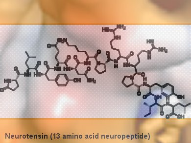 Into Neurotensin’s Binding Mode