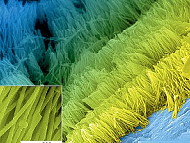 3D Aligned CuInS2 Chalcopyrite Nanorod Arrays