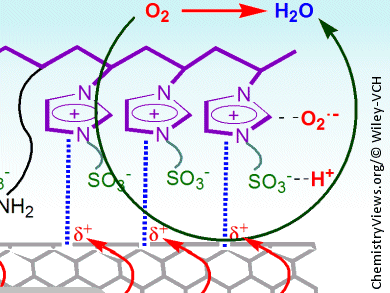 Metal-Free Electrocatalysts for Fuel Cells