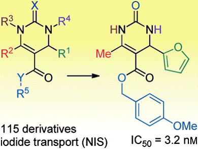 Radioprotective Molecules