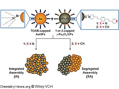 Integrated and Segregated Binary Nanoparticle Assemblies