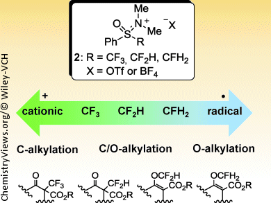 C- or O-Alkylation?