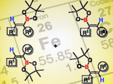 Iron-Catalyzed Hydroboration