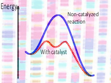 The Catalyst Genome