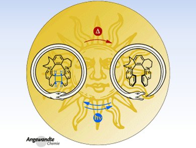 Angewandte Chemie 48/2012: Disorder Leads to Order