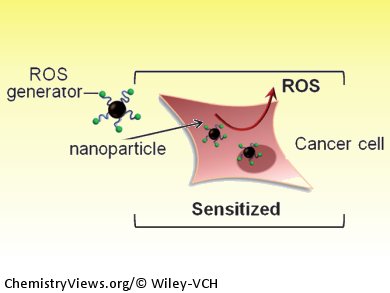 Nanoparticles with a Double Nature