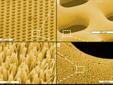 Micro Fuel Cell of Bulk Metallic Glass