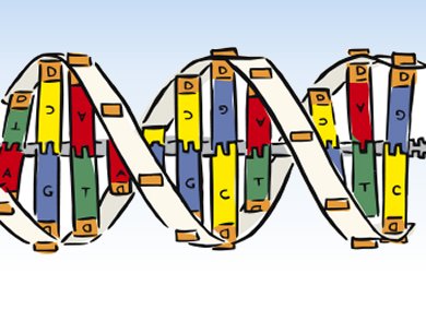Ion Channels Made of DNA
