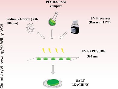 Conducting Hydrogels for Nerve Regeneration