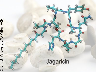 From Rotting Mushroom to Drug?