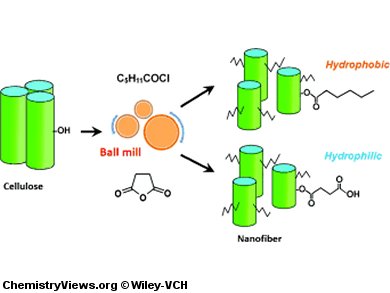 One-Step Dispersion of Cellulose Nanofibers