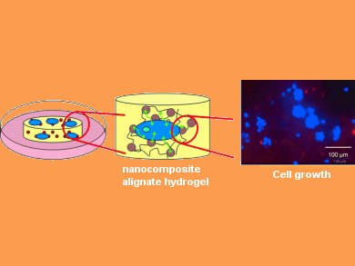 New Nanocomposite Hydrogels