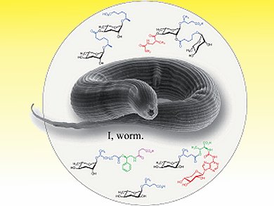 Angewandte Chemie 50/2012: Adventures in Chemistry