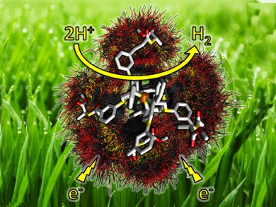 Dipeptide Ligands for Hydrogen-Production Catalysts