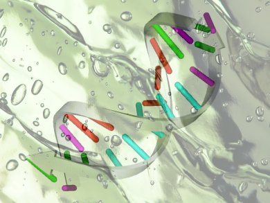 A DNA Hydrogel Capable of Metamorphosis