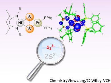 Unusual Bonding in Disulfur Ligands