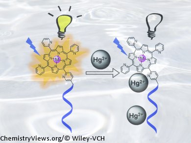 Sensitive and Selective Mercury Detection