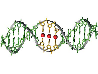 Metal-Mediated Base Pairs