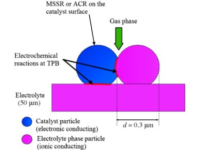 Modeling of Solid Oxide Fuel Cells