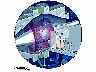 Angewandte Chemie 52/2012: Happy Holidays!