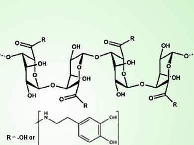 Mussels-inspired Gel for Damaged Vessels