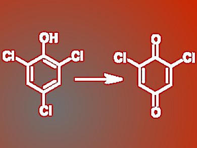 Identifying Degradation of Polychlorinated Phenols