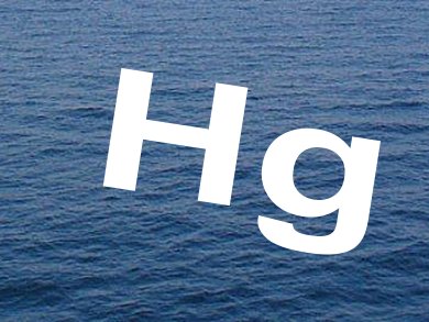 Factors Affecting MeHg Production