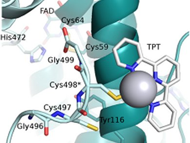 Tin(IV)-based Anticancer Drugs