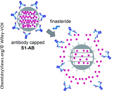 Antibodies as Gatekeepers