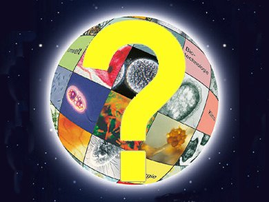 Answer: Microbial World Quiz