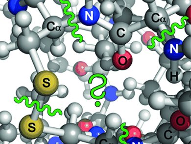 Cleavage of Disulfide Bonds in Proteins