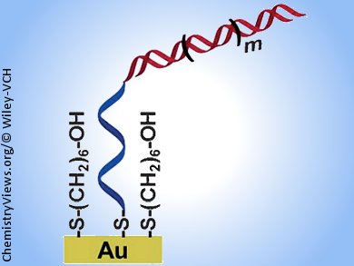 Reversible DNA Polymerization