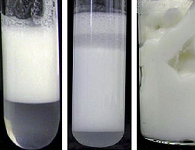 New Colloid Structures Hold Key to Healthier Food