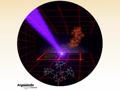 Angewandte Chemie 3/2013: No Half Measures