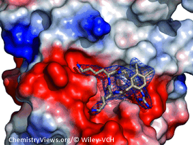 New Inhibitors for West Nile Virus