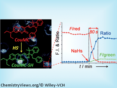 Quick and Selective H2S Detection