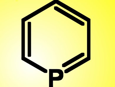 Recent Developments in Phosphinine Chemistry