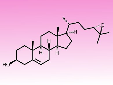 How to Produce Dopaminergic Neurons