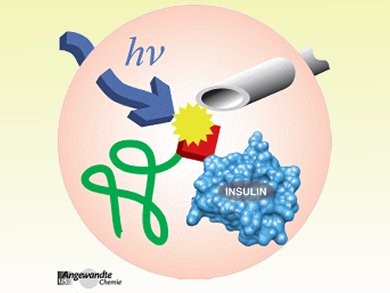 Angewandte Chemie 5/2013: It Just Works!