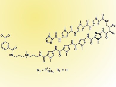 Tumor Selective Polyamide