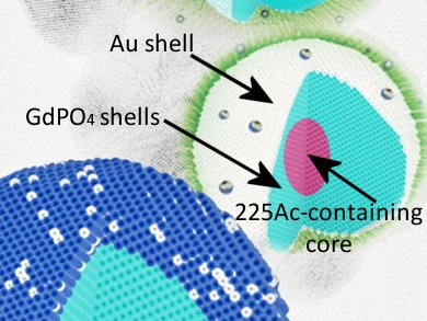 Safely Delivering α-Generator Radionuclides