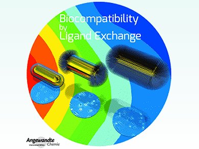 Angewandte Chemie 7/2013: Everything under Control