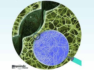 Angewandte Chemie 6/2013: Silver is King