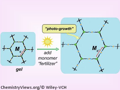 Light Makes Pores Bigger