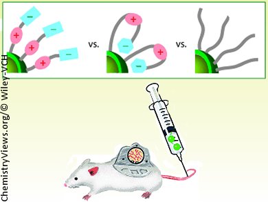 In Vivo Behavior of Nanoparticles