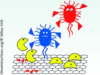 Antibody Selectivity on Graphene: Many Feet Make Light Work