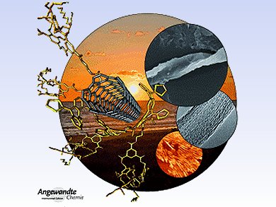 Angewandte Chemie 8/2013: Humble Beginnings, Strong Growth