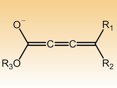 New Route to Tetrasubstituted Allenes