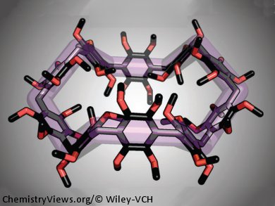 New Macrocyclic Family with Added Ginger