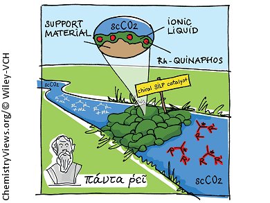 Continous-flow System with Ionic Liquids as Support Phase